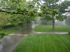 woodmont_spring_showers